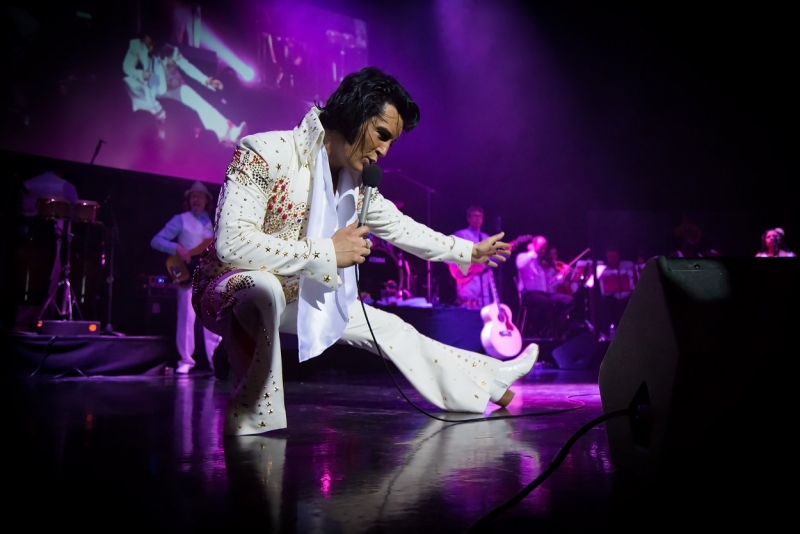 Tributo Internacional a Elvis acontece nesta sexta-feira em Porto Alegre