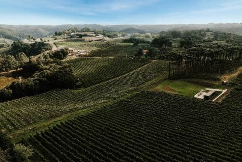 ''Casa Perini Music Day'' acontece em outubro na serra gaúcha  