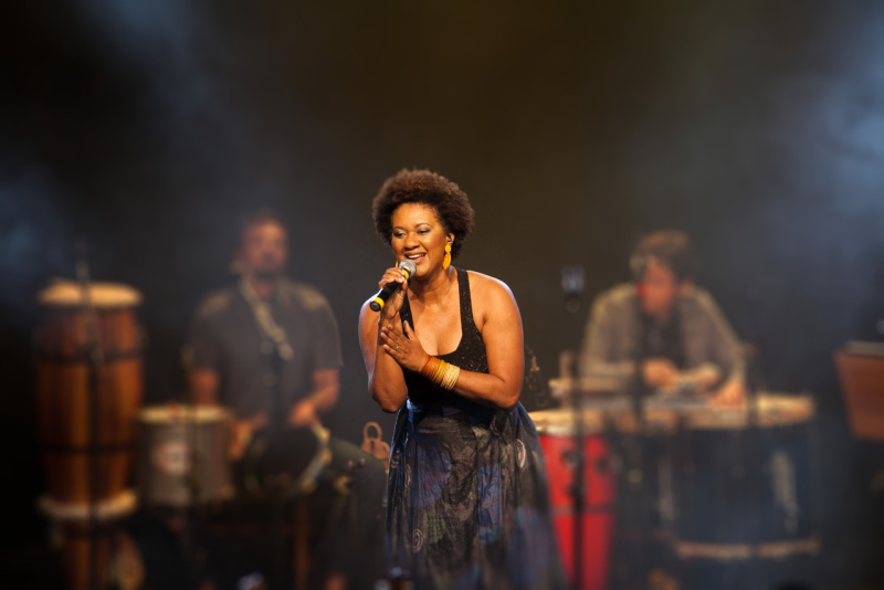 Nilze Carvalho celebra 45 anos de samba e choro com show em Porto Alegre