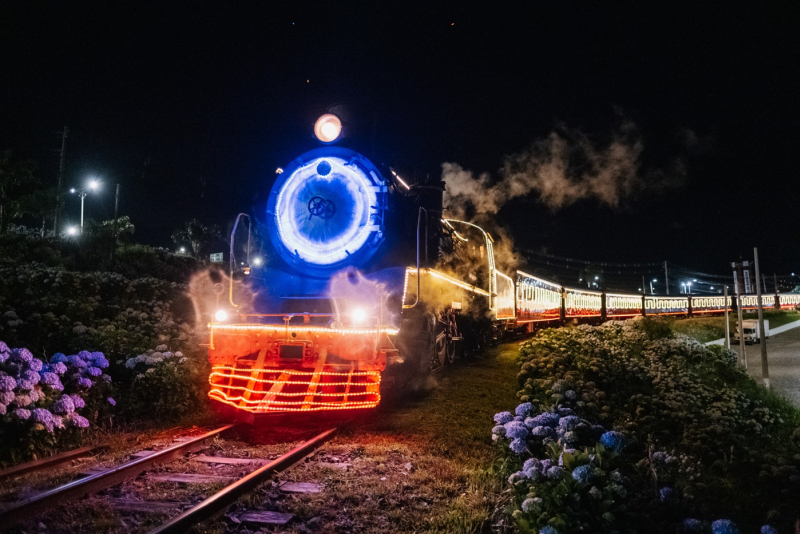 Passeios especiais de Natal na Maria Fumaça iniciam em novembro 