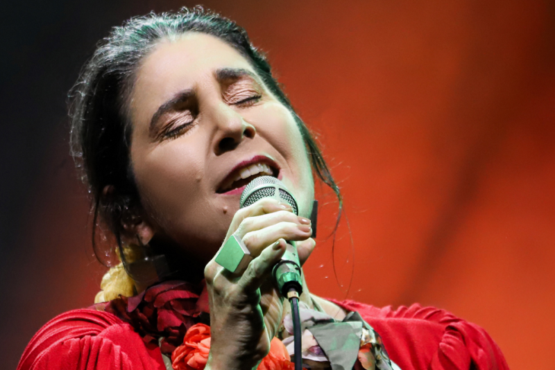 Mônica Salmaso apresenta em maço no Salão de Atos da PUC o show 'Minha Casa'