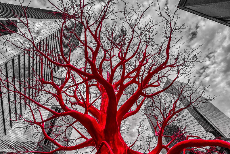 <br />
<b>Notice</b>:  Undefined variable: lnb in <b>/home/u642903088/domains/supertransado.com.br/public_html/site/app/views/artigo.php</b> on line <b>228</b><br />
<br />
<b>Notice</b>:  Trying to get property 'TITULO' of non-object in <b>/home/u642903088/domains/supertransado.com.br/public_html/site/app/views/artigo.php</b> on line <b>228</b><br />
