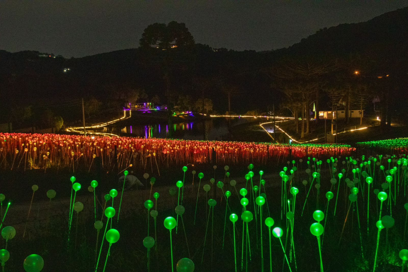 Natal Iluminado Lumni Experience: a Ceia de Natal mais iluminada de Gramado em 2025