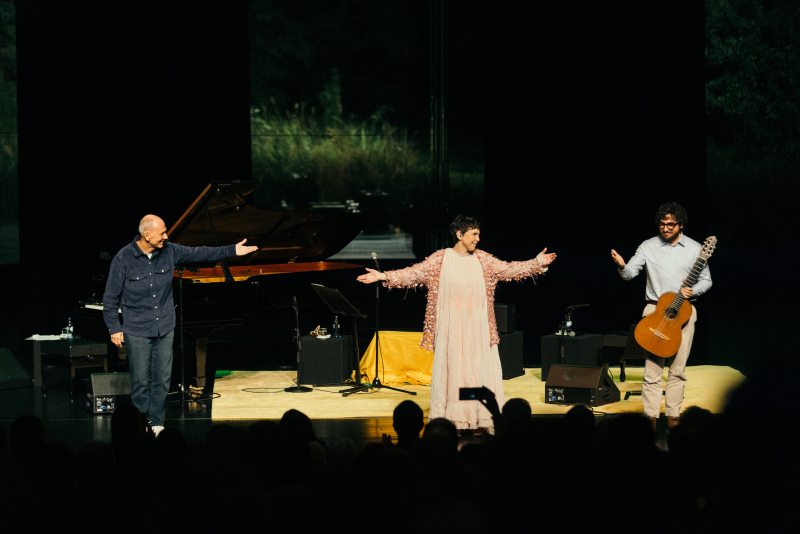 Adriana Calcanhotto, José Miguel Wisnik e João Camarero encerram o 32º Porto Alegre em Cena com a estreia nacional de 'complexo b'