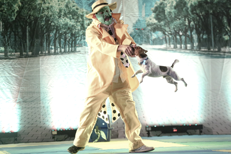 <br />
<b>Notice</b>:  Undefined variable: lnb in <b>/home/u642903088/domains/supertransado.com.br/public_html/site/app/views/artigo.php</b> on line <b>228</b><br />
<br />
<b>Notice</b>:  Trying to get property 'TITULO' of non-object in <b>/home/u642903088/domains/supertransado.com.br/public_html/site/app/views/artigo.php</b> on line <b>228</b><br />
