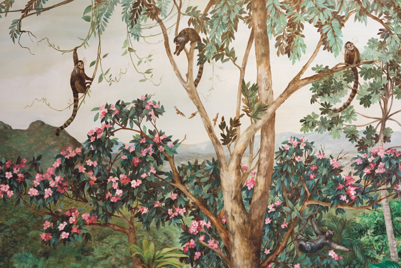 Dominique Jardy lança o livro-arte Mata Adentro - Natureza e Arte em Porto Alegre e realiza palestra aberta no Centro Cultural da UFRGS