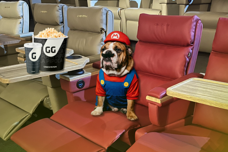Cine Pets ganha edição temática de Super Mario em Porto Alegre com concurso de fantasias para pets